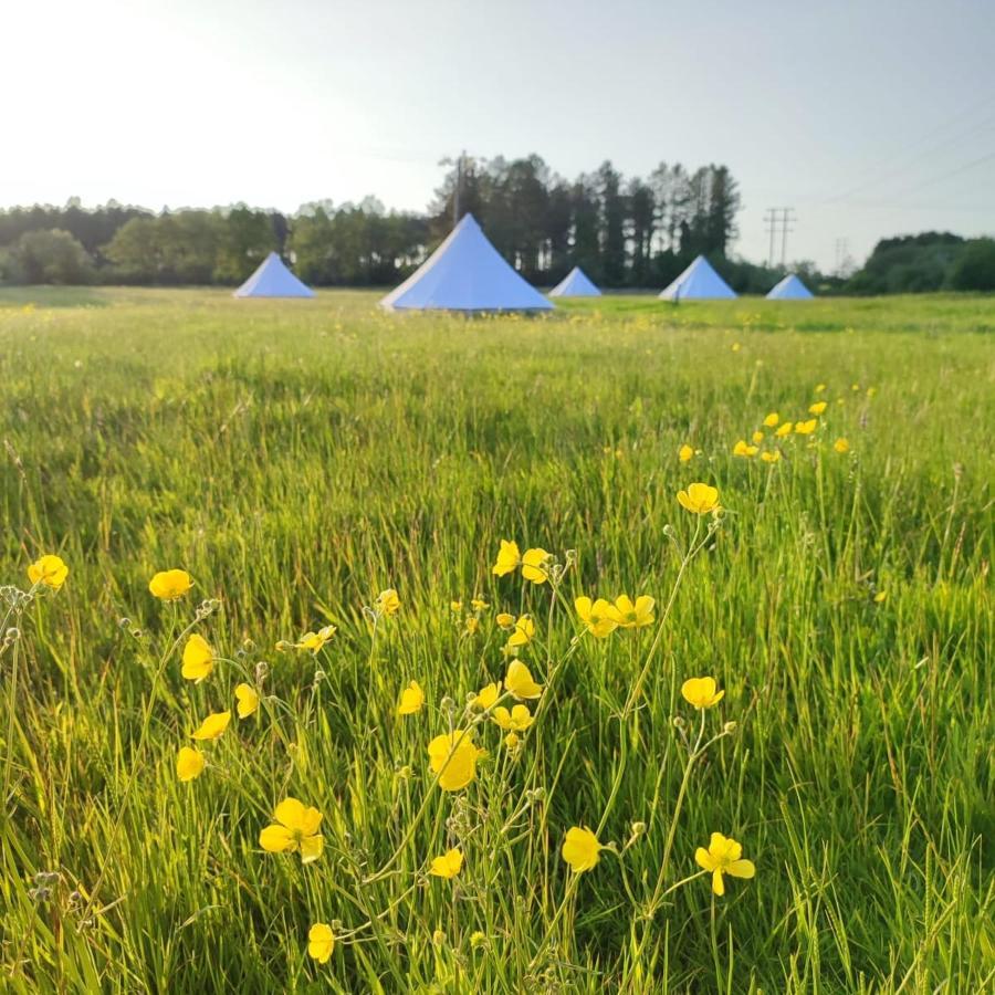 Готель Dorset Glamping Fields Corfe Mullen Екстер'єр фото